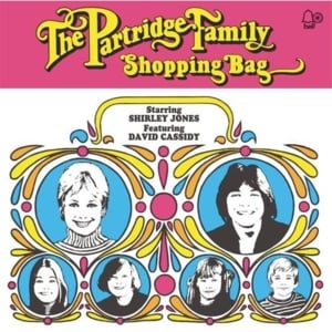 It’s One Of Those Nights (Yes, Love) - The Partridge Family