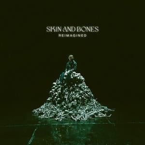 Skin and Bones (Sped Up) - David Kushner