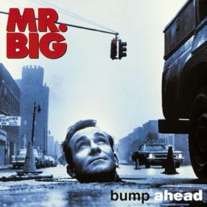 Colorado Bulldog - Mr. Big