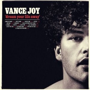 We All Die Trying to Get It Right - Vance Joy