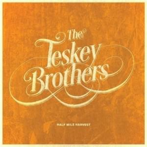 Shiny Room - The Teskey Brothers