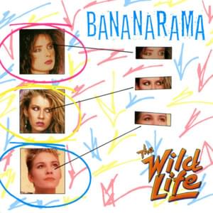 The Wild Life - Bananarama