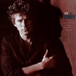 Not Enough Love in the World - Don Henley