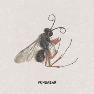 Alien Blues (Acoustic) - Vundabar