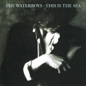 This Is the Sea - The Waterboys