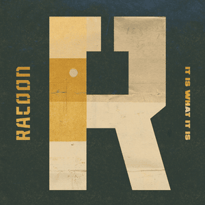 It Is What It Is - Racoon