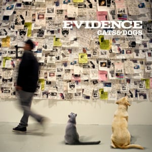 The Liner Notes - Evidence (Ft. Aloe Blacc)