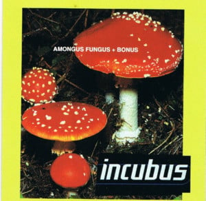 Turning Japanese - Incubus