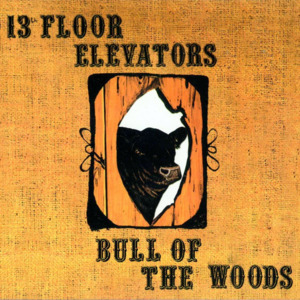 Dr. Doom - The 13th Floor Elevators