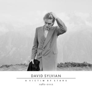 Where’s Your Gravity - David Sylvian