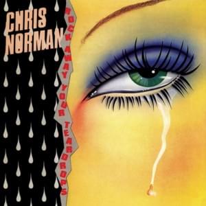 Too Many Hearts Have Been Broken - Chris Norman