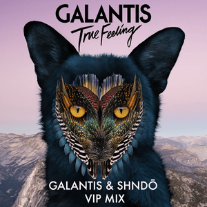 True Feeling (Galantis & shndō VIP Mix) - Galantis