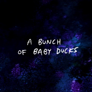 A Bunch of Baby Ducks (Script) - Regular Show