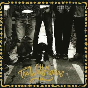 Hollywood - The Wallflowers