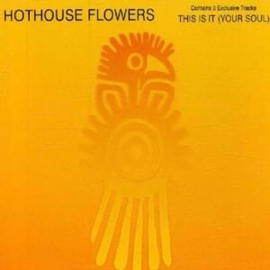 Suspicious Minds - Hothouse Flowers