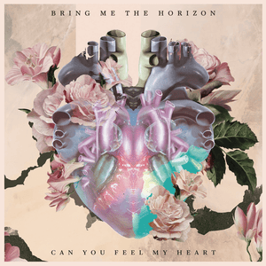 Can You Feel My Heart (Shikari Sound System Remix) - Bring Me The Horizon (Ft. Enter Shikari)