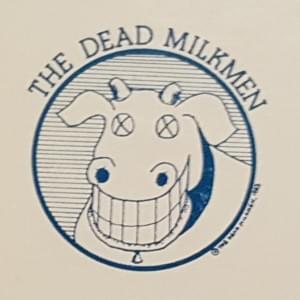 Beach Song (live) - The Dead Milkmen