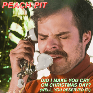 Did I Make You Cry on Christmas Day? (Well, You Deserved It!) - Peach Pit