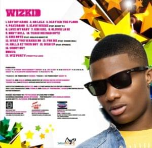 What You Wanna Do - Wizkid