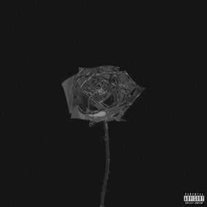 Roses - Palace905 (Ft. Dutchboy, Gaws the great, Mount bank, MssingNo, ​Mura Masa, PYRMDPLAZA, Shlohmo, Swell, ​The Code, Tory Lanez & Yung Bae)