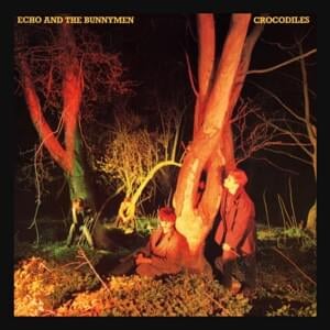 Crocodiles - Echo & the Bunnymen