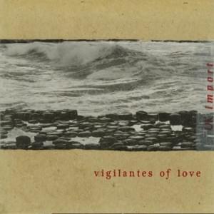 When You’re Blinded by the Light - Vigilantes of Love