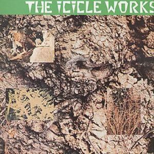 As The Dragonfly Flies - The Icicle Works