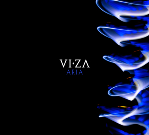 Never Feel - Viza