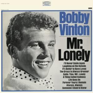 Someone I Used to Know - Bobby Vinton