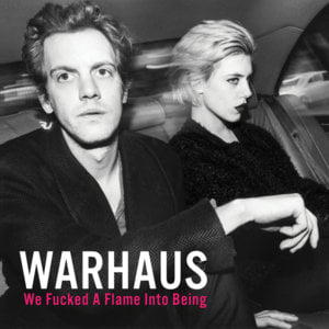 Machinery - Warhaus