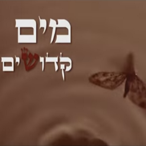 Mayim Kdoshim - מים קדושים - DJ Moshik - דיג’יי מושיק (Ft. Ravid Plotnik - רביד פלוטניק & Z.K (IL) - זי קיי)