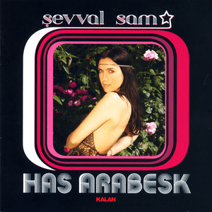 Anadan Ayrı - Şevval Sam