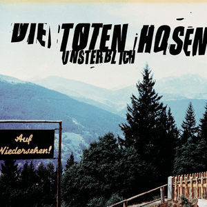 Helden und Diebe - Die Toten Hosen