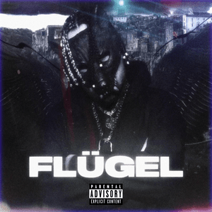 FLÜGEL - Xam651