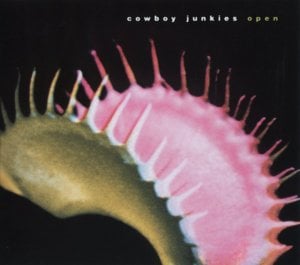 Thousand Year Prayer - Cowboy Junkies