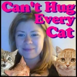 Can’t Hug Every Cat - The Gregory Brothers (Ft. Cara Hartmann)