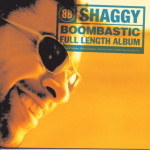 Boombastic (Sting Remix) - Shaggy