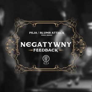 Negatywny Feedback - Peja (Ft. Brahu)