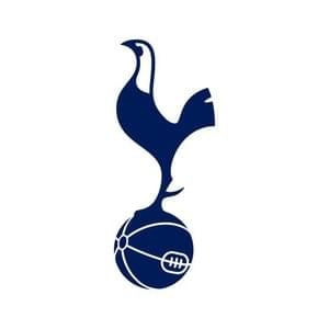 2014/15 Goals - Tottenham Hotspur FC