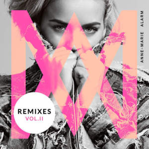 Alarm (Toby Green Remix) - Anne-Marie