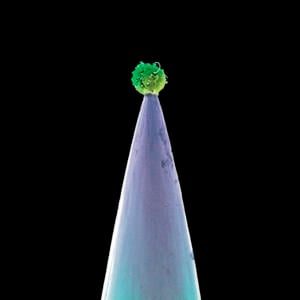 The Rhythm of the Heat (New Blood Version) - Peter Gabriel