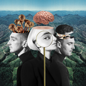 Last Goodbye - Clean Bandit (Ft. Stefflon Don & Tove Styrke)