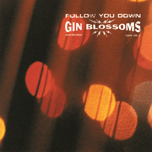 Follow You Down - Gin Blossoms