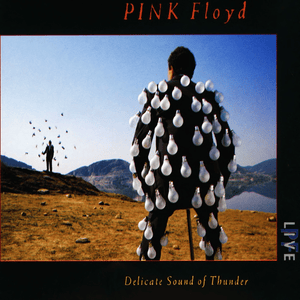 Shine On You Crazy Diamond (Pts. 1-5) [Live at Nassau Coliseum, 19th-23rd August 1988] - Pink Floyd