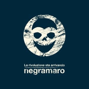 Tutto qui accade - Negramaro