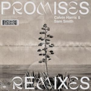 Promises (Sonny Fodera Disco Mix) - Calvin Harris & Sam Smith