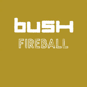 Fireball - Bush