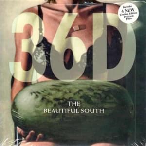 36D - The Beautiful South