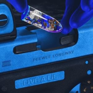 Rear View - Peewee Longway