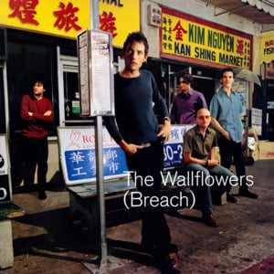 Mourning Train - The Wallflowers